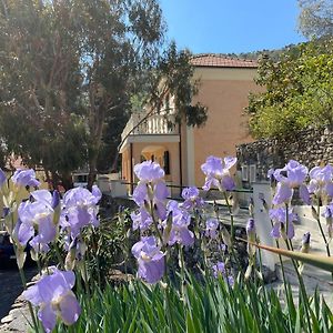 Holiday Rooms La Campagnetta